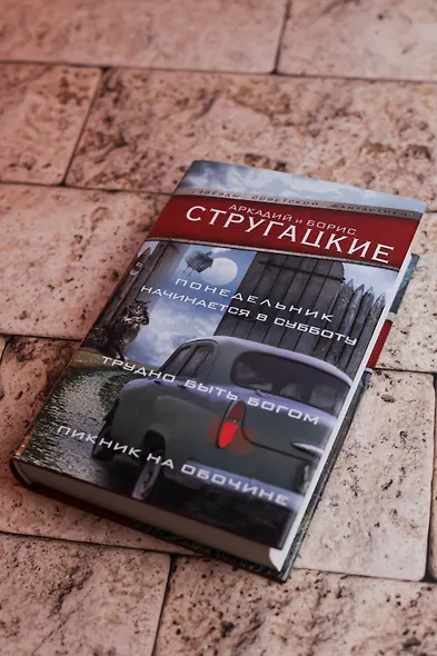 Понедельник начинается в субботу. Трудно быть богом. Пикник на обочин - фото 5