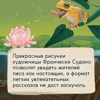 Кто живёт в лесу? Иллюстрированный атлас животных - фото 9