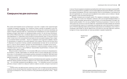 Приключения среди муравьев. Путешествие по земному шару с триллионами суперорганизмов - фото 6
