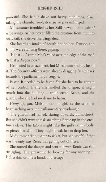 Bright Ruin - фото 7