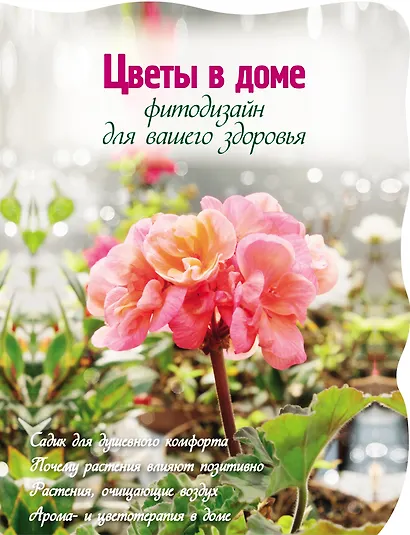 Цветы в доме. Фитодизайн для вашего здоровья. - фото 1