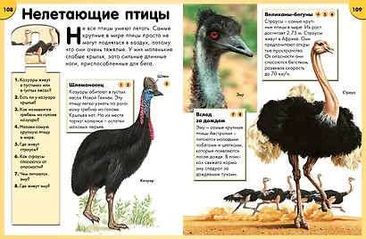 Обо всём на свете в вопросах и ответах. Энциклопедия - фото 4