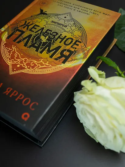 Железное пламя - фото 8