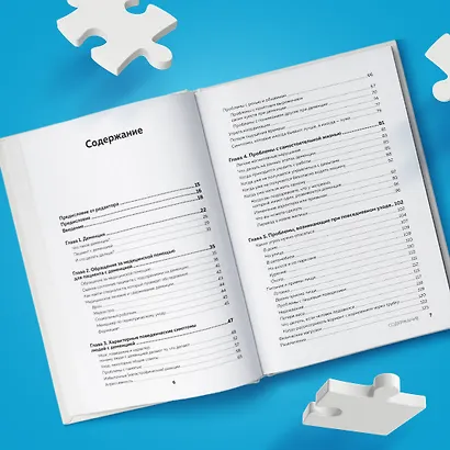 День, в котором 36 часов. Семейное руководство по уходу за людьми, страдающими болезнью Альцгеймера и другими видами деменции - фото 10