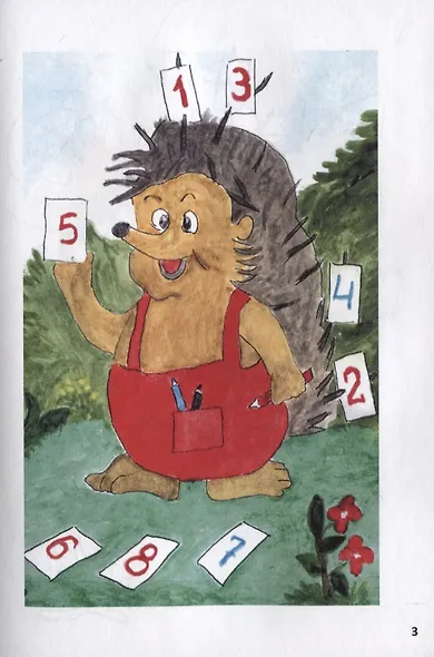 Еж колючки стал считать - фото 5