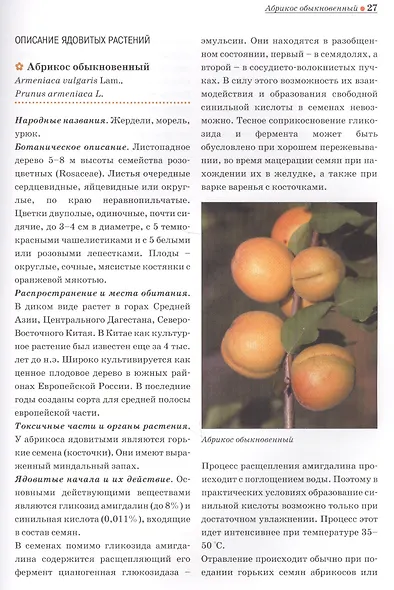 Ядовитые растения и грибы средней полосы России: Справочник - фото 3
