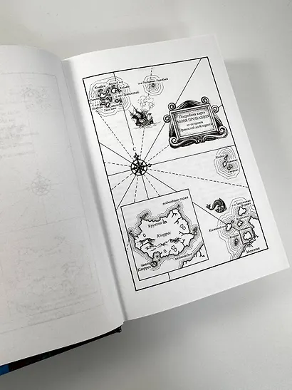 Сага о Фитце и Шуте. Книга 3. Судьба убийцы - фото 8