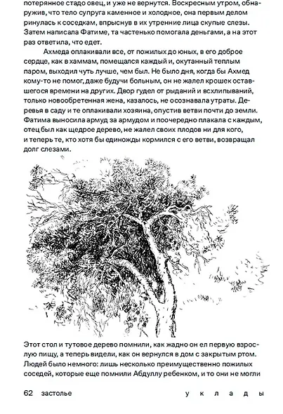 Уклады. Рассказы - фото 6