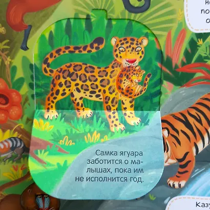 Животные - фото 3