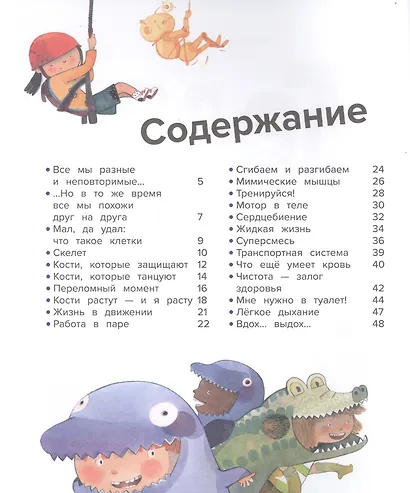 Тело человека. 44 удивительных факта о теле человека - фото 2