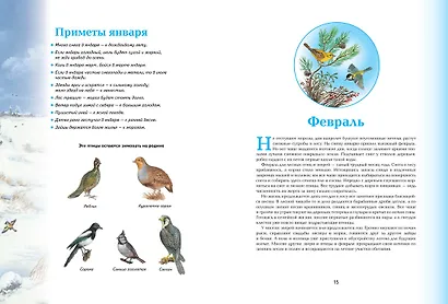 Времена года. Иллюстрированная энциклопедия - фото 6
