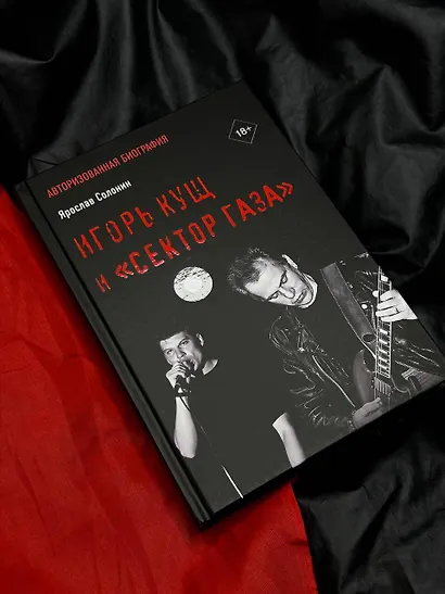 Игорь Кущ и "Сектор Газа". Авторизованная биография - фото 4