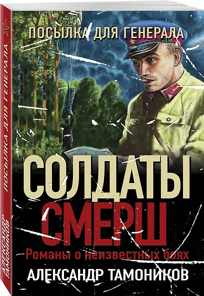 Посылка для генерала - фото 3