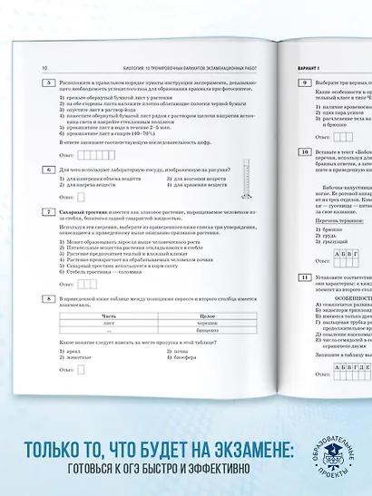 ОГЭ-2026. Биология. 10 тренировочных вариантов экзаменационных работ для подготовки к основному государственному экзамену - фото 7