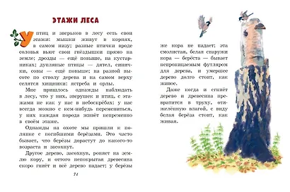 Лисичкин хлеб. Рассказы о животных (ил. С. Ярового) - фото 6