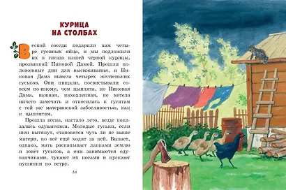 Лисичкин хлеб. Рассказы о животных (ил. С. Ярового) - фото 5