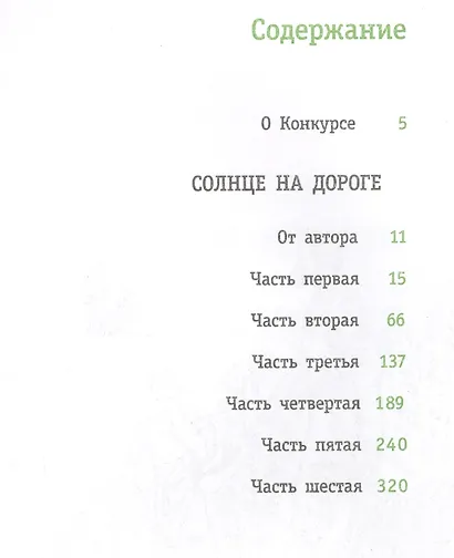 Солнце на дороге - фото 2