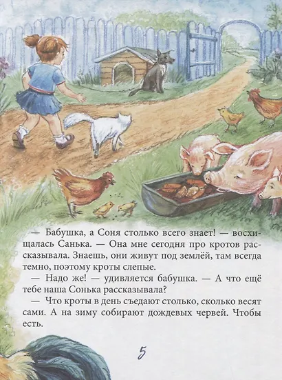 Санька и Сонька - фото 4