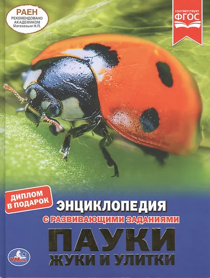 Пауки, жуки и улитки. Энциклопедия с развивающими заданиями - фото 1