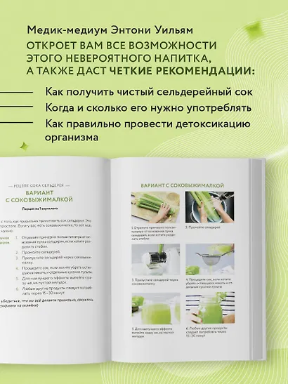 Сок сельдерея. Природный эликсир энергии и здоровья - фото 5