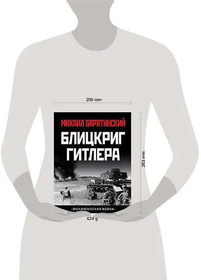 Блицкриг Гитлера. «Молниеносная война» - фото 4