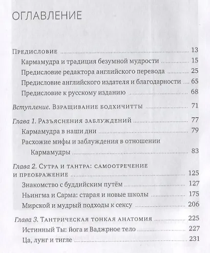 Кармамудра: йога блаженства. Сексуальность в тибетской медицине и буддизме - фото 2