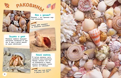 Обо всем на свете! Большая энциклопедия для маленьких - фото 7