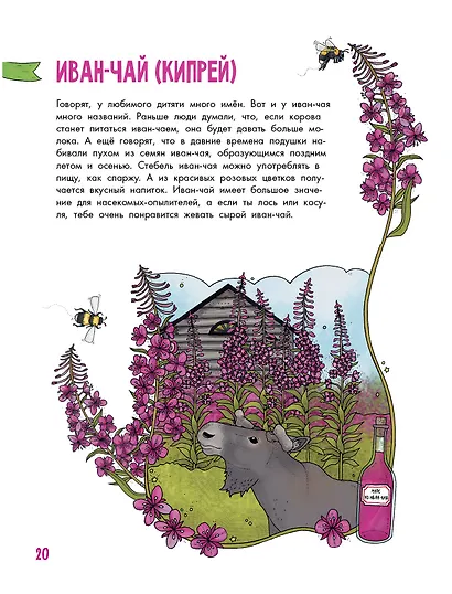 Цветы и растения - фото 9