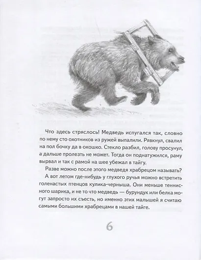 Иду по тайге - фото 9