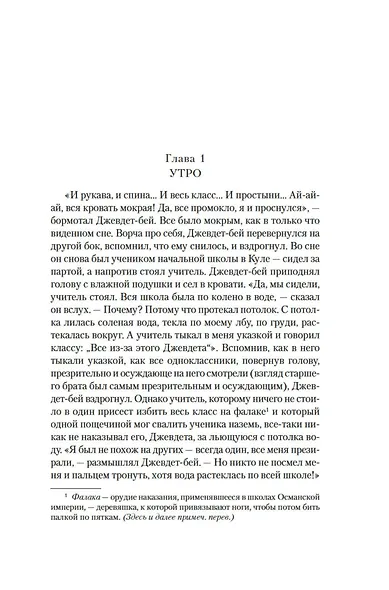 Джевдет-бей и сыновья - фото 7