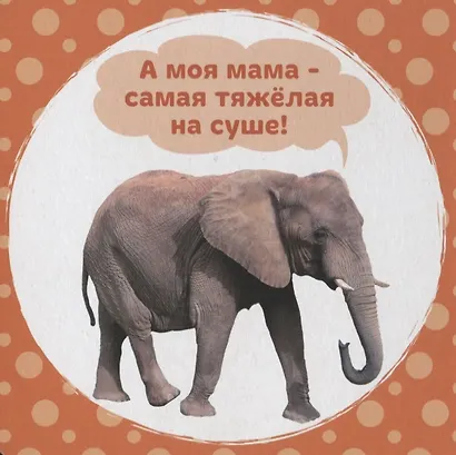 А моя мама… - фото 4