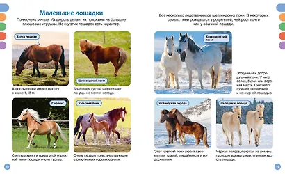 Лошади - фото 6