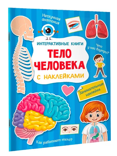 Тело человека - фото 3