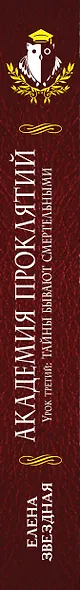 Академия Проклятий. Урок третий: Тайны бывают смертельными - фото 4