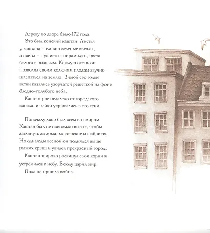 Дерево во дворе. Взгляд из окна Анны Франк - фото 2