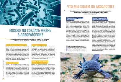 Школьная энциклопедия. 50 неразгаданных загадок науки - фото 9