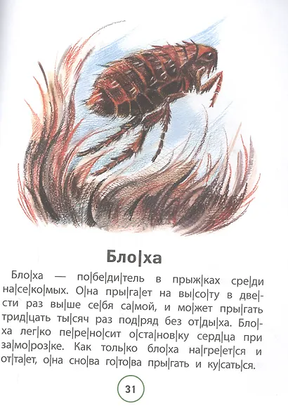Познавательные тексты для чтения: насекомые - фото 3
