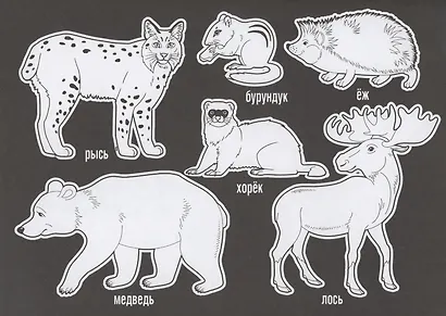 Раскраска В лесу - фото 3