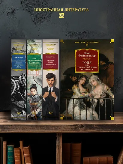 Гойя, или Тернистый путь познания - фото 6