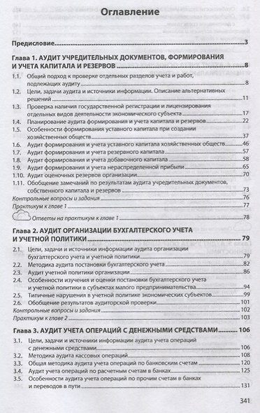 Аудит: теория и практика: В 2 частях. Часть 2. Практический аудит - фото 2