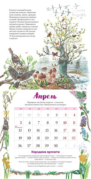 Календарь 2027г 290*290 "Календарь родной природы (ил. М. Белоусовой)" настенный, на скрепке - фото 3