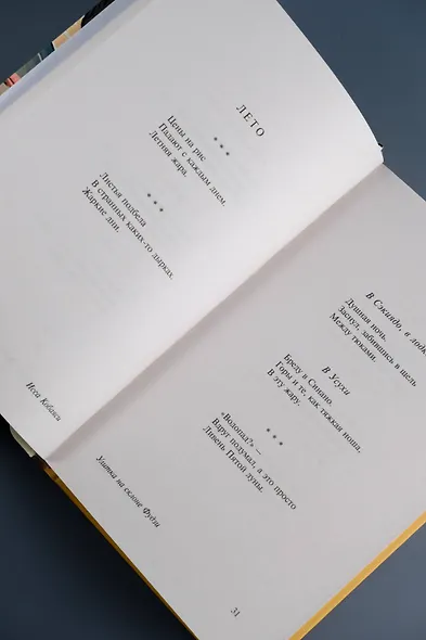 Улитка на склоне Фудзи - фото 9