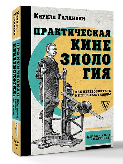 Практическая кинезиология: как перевоспитать мышцы-халтурщицы - фото 3