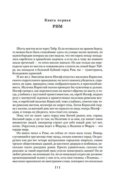 Трилогия об Иосифе Флавии. Иудейская война. Сыновья. Настанет день - фото 11
