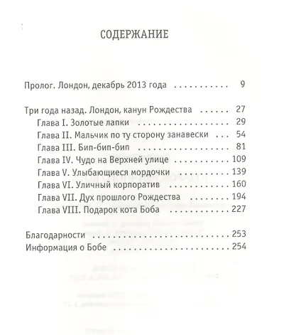 Подарок уличного кота - фото 2