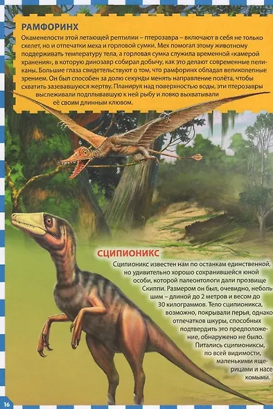 Осторожно, динозавры! Детская энциклопедия - фото 4