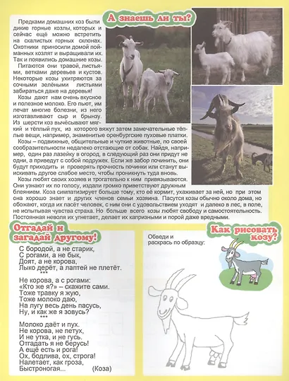 Кто у нас во дворе? Для детей 4-6 лет - фото 5