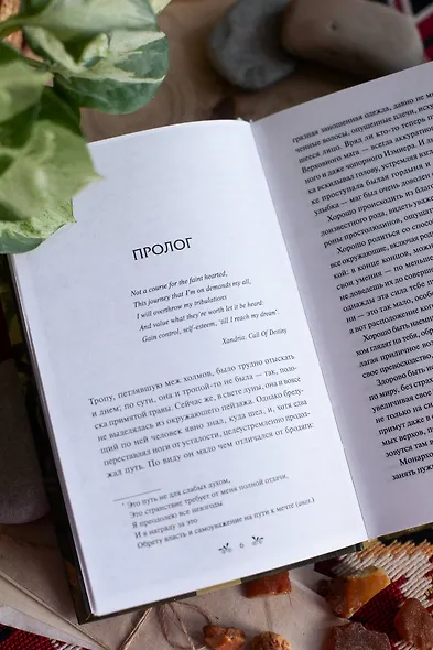 Наследие Рэйны. Все дороги мира - фото 11