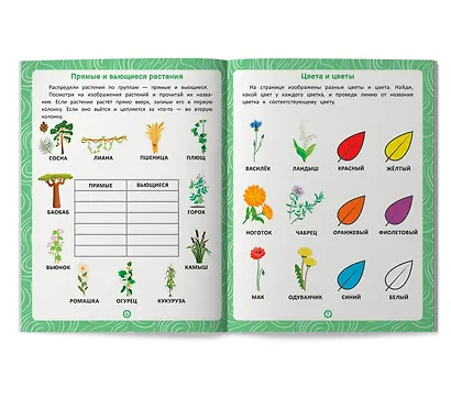 Растения: книга-тренажер по развитию речи и логики - фото 3