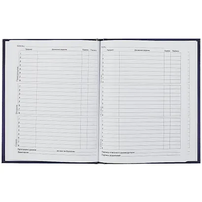 Дневник для средних и старших классов Listoff, "Скейтер" - фото 2